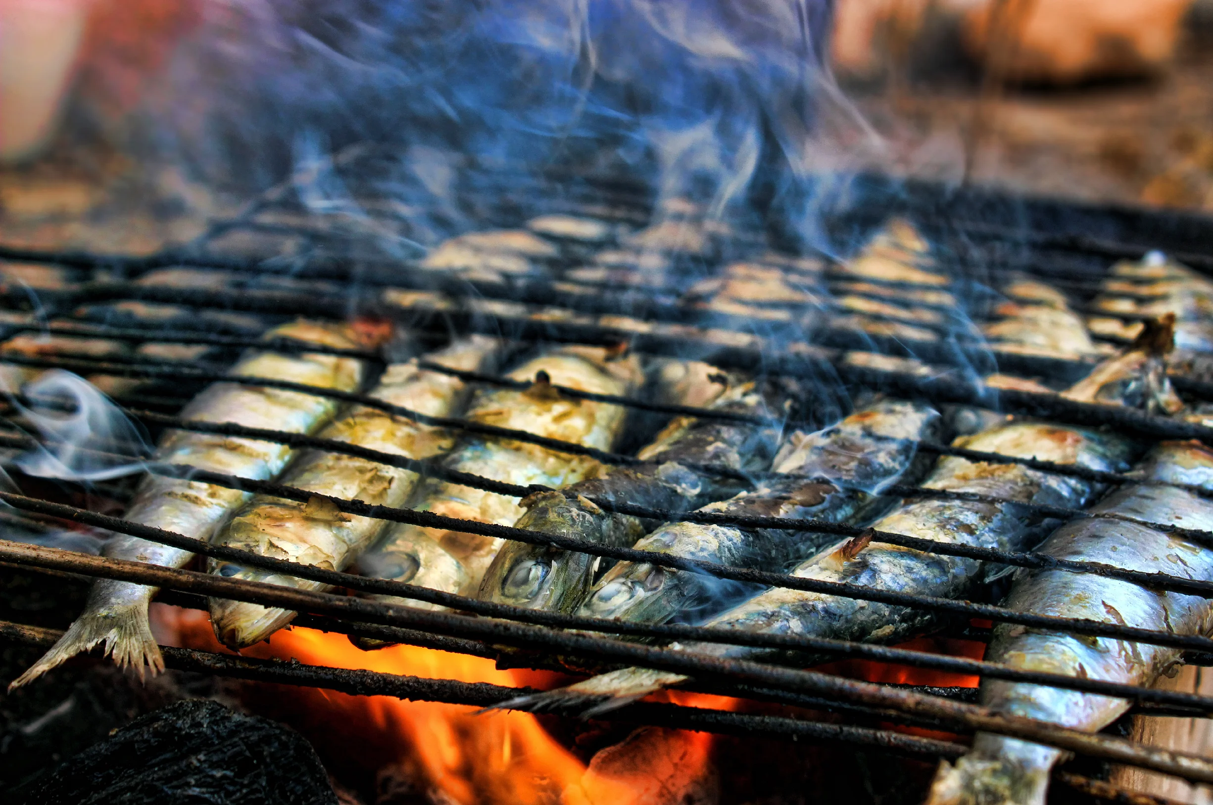 Header Backgrounds-03.jpg