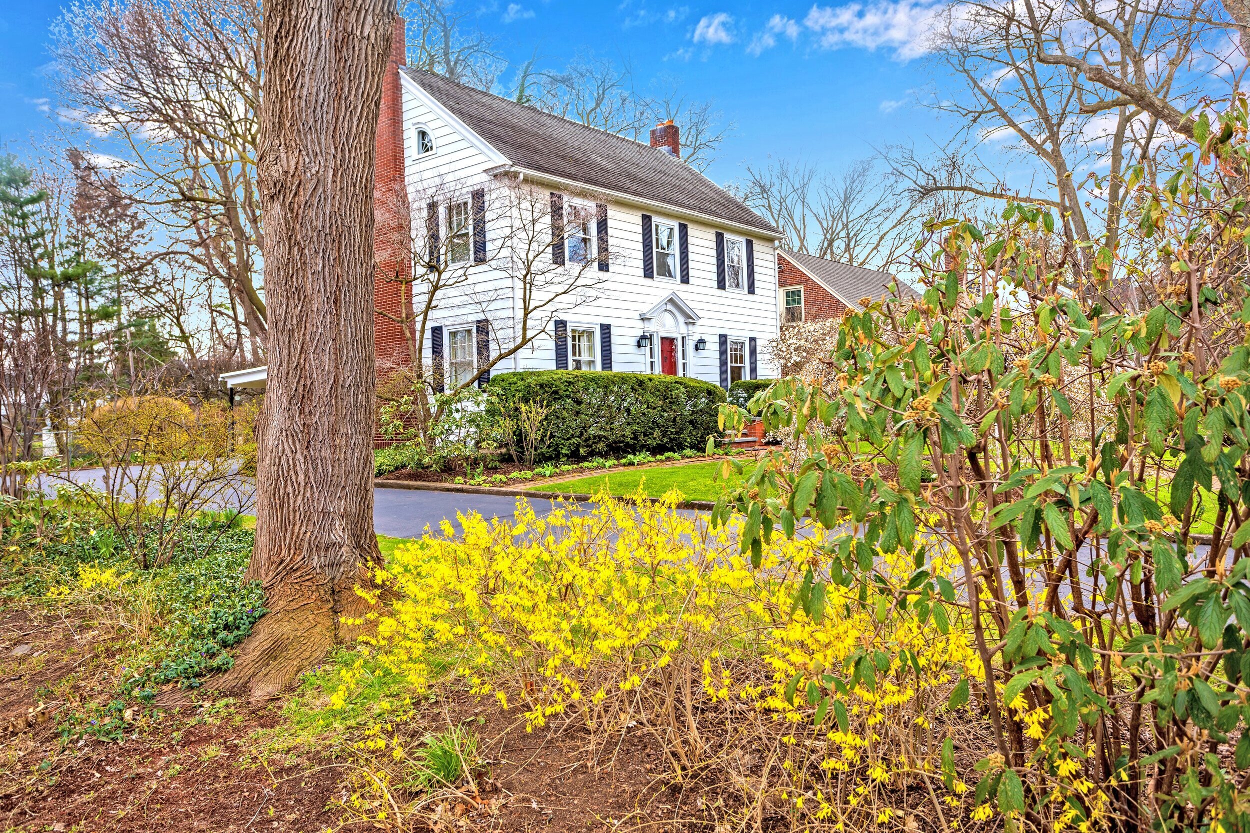 RICH TESTA REAL ESTATE: 3021 Elmwood Avenue, Rochester, NY