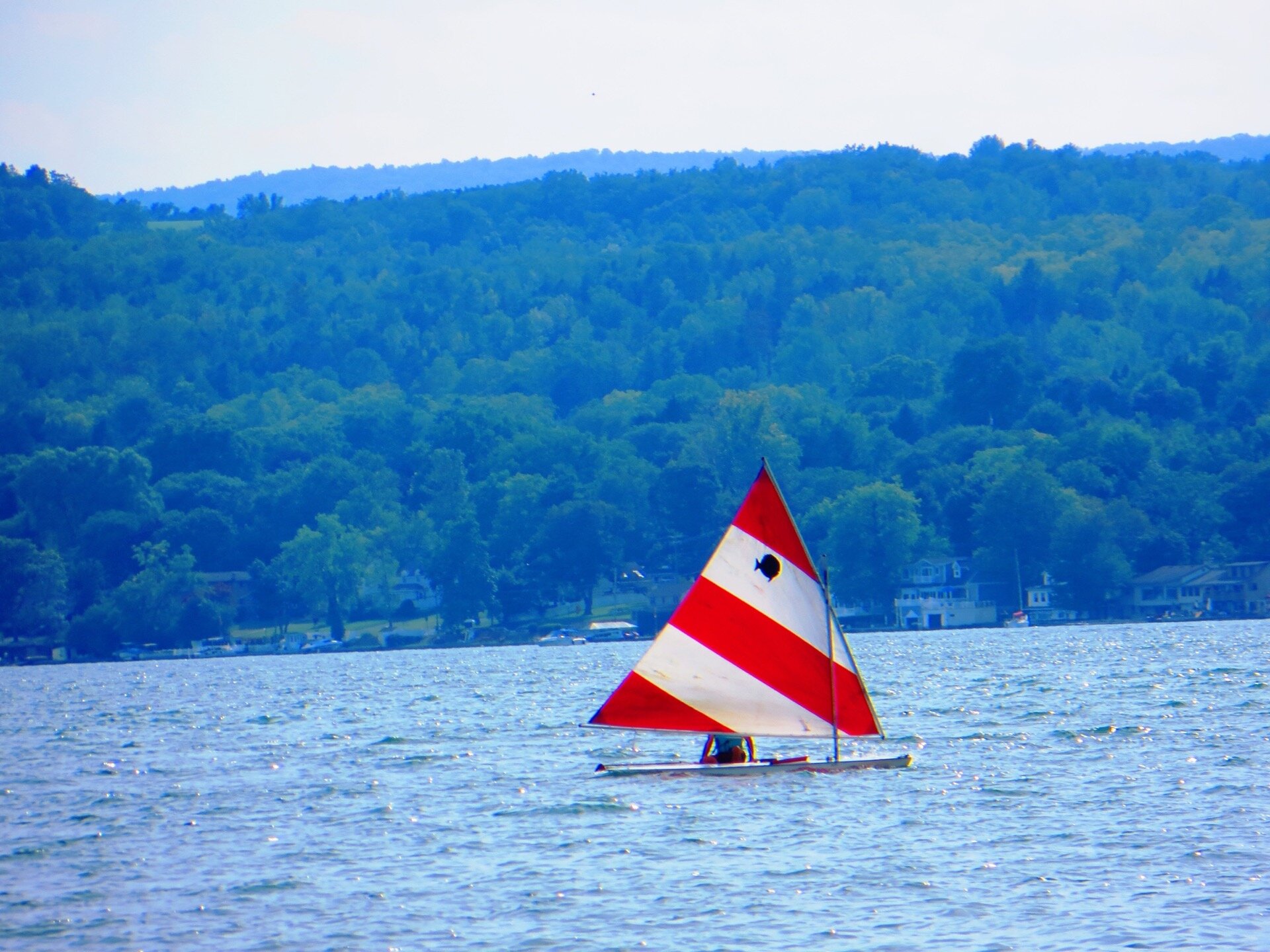 IMG_0293+-+Canandaigua+Lake+-+Red+&+White+Sunfish.jpg