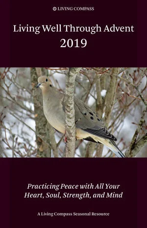 Advent Books and Conversations