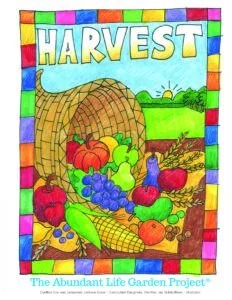 Sunday School  - HARVEST