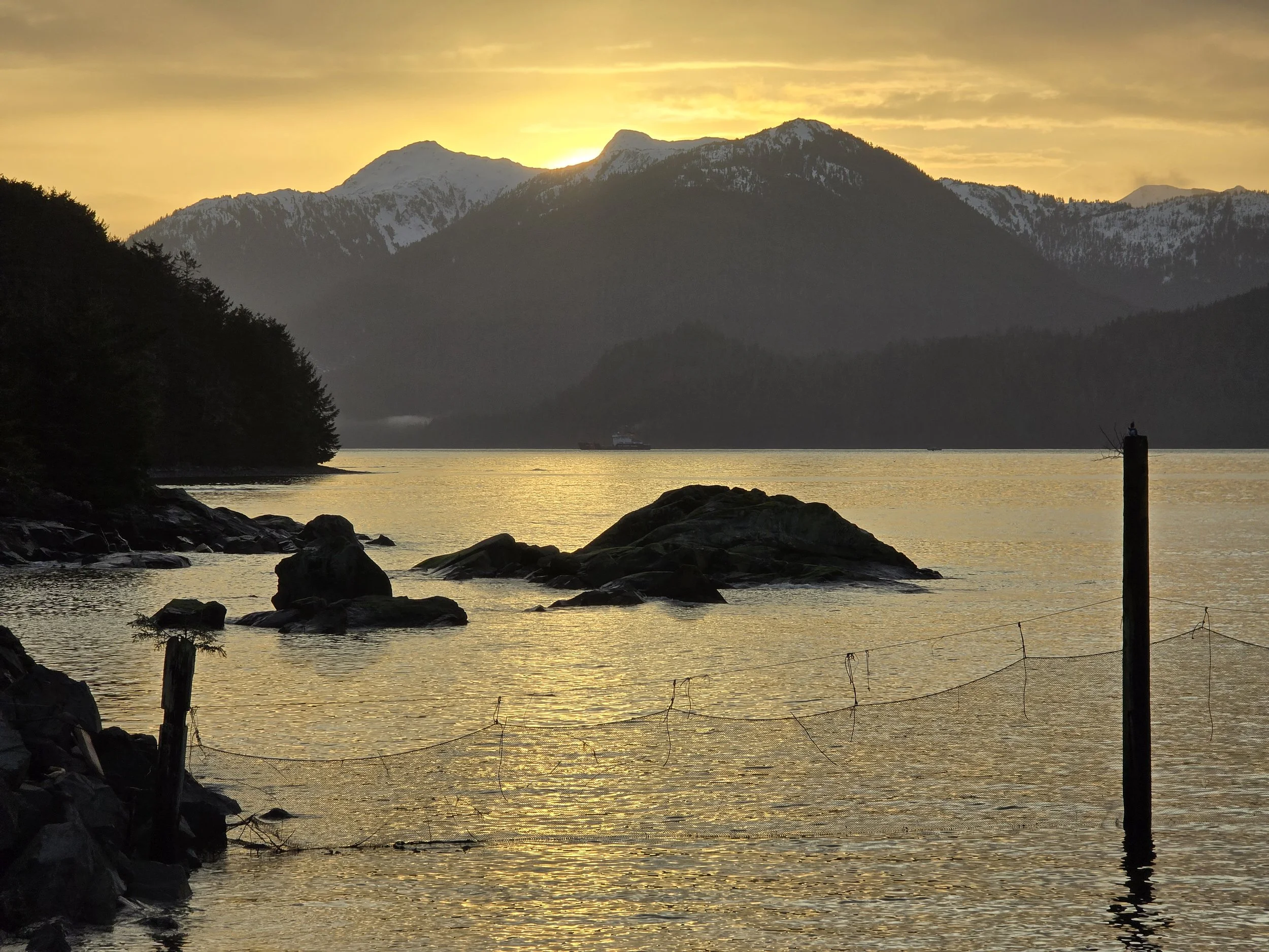 4th Sunday after Epiphany/Year A - February 1, 2026