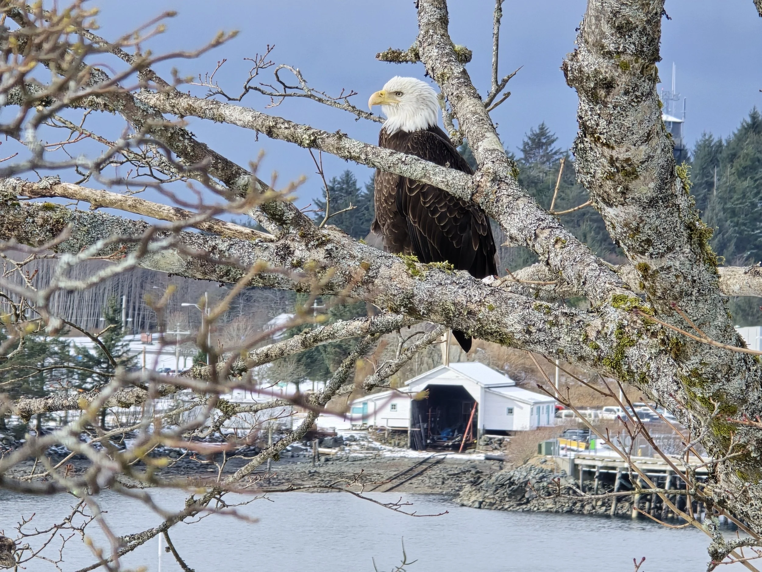 Third Sunday in Lent/Year A - March 8, 2026