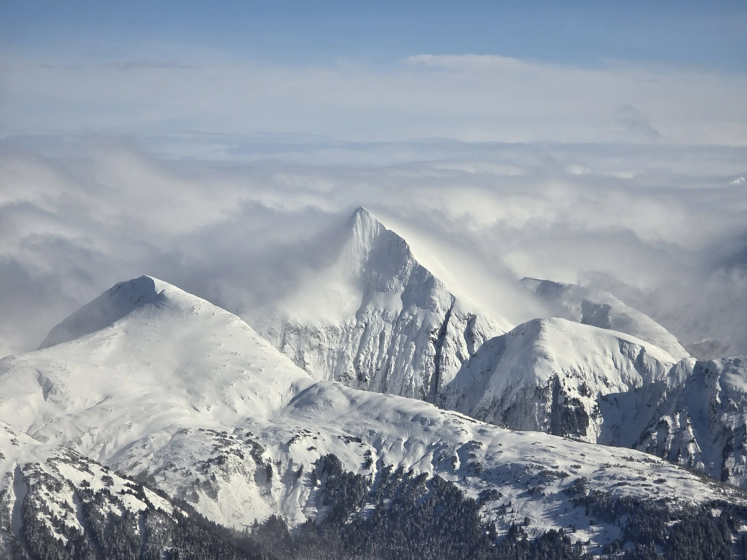 Fourth Sunday in Lent/Year A - March 15, 2026