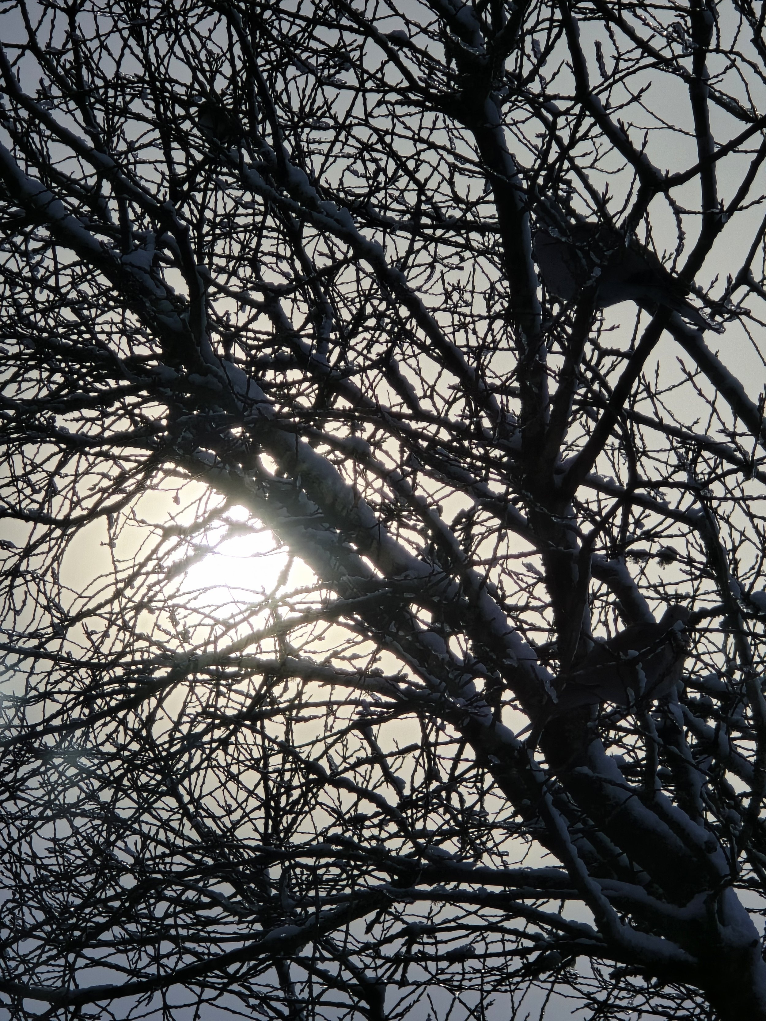 Fifth Sunday in Lent/Year A - March 22, 2026