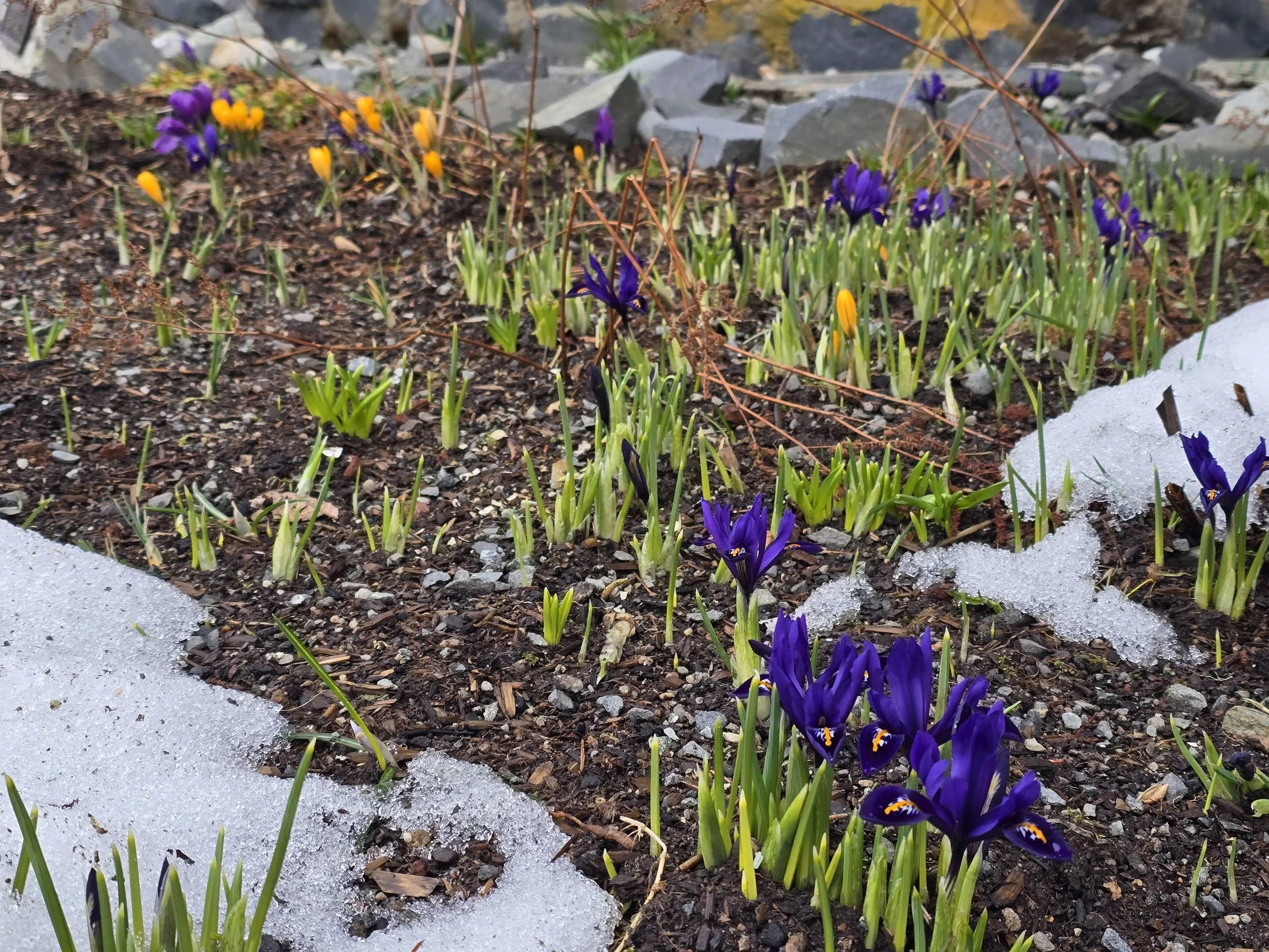 Easter 2/Year A - April 12, 2026