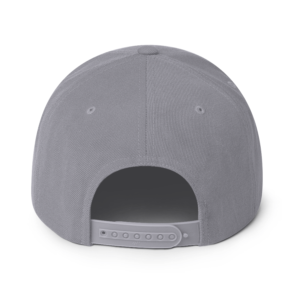 classic-snapback-silver-back-65c91cd476919.png