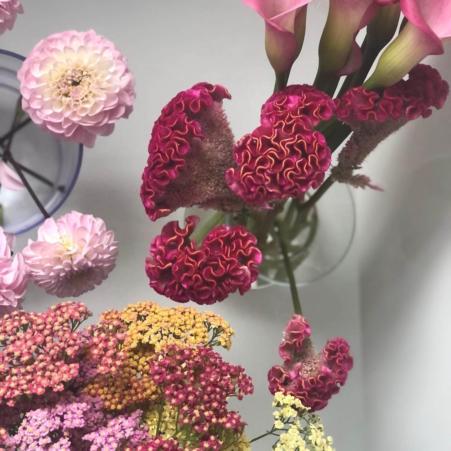 Abstract 🍬

#flatlay
#underthefloralspell 
#flowers
#floristlife
#birminghamflorist
#moseleyflorist
#digbethflorist
#kingsheathflorist