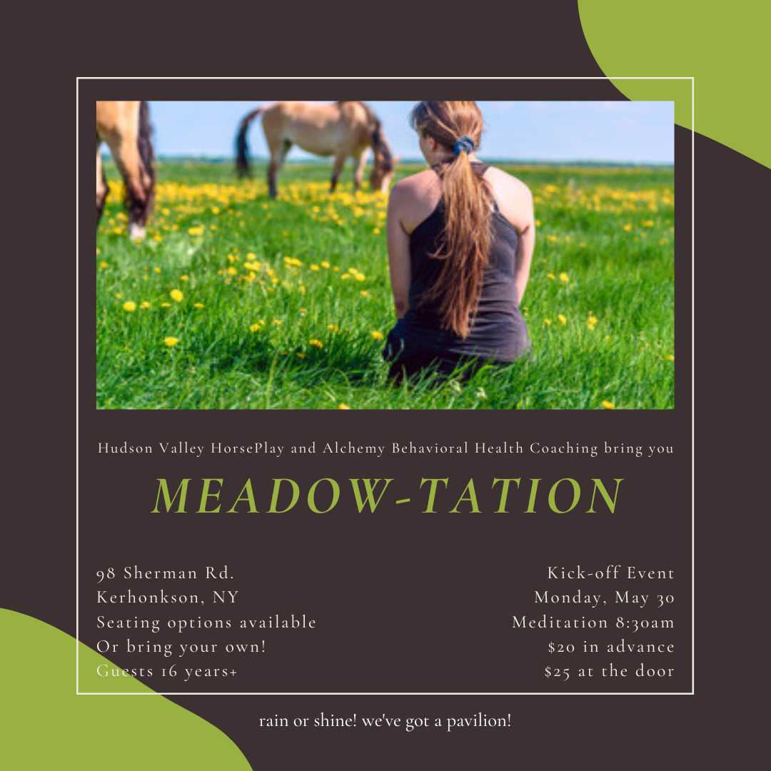 Meadow-tation with Hudson Valley HorsePlay