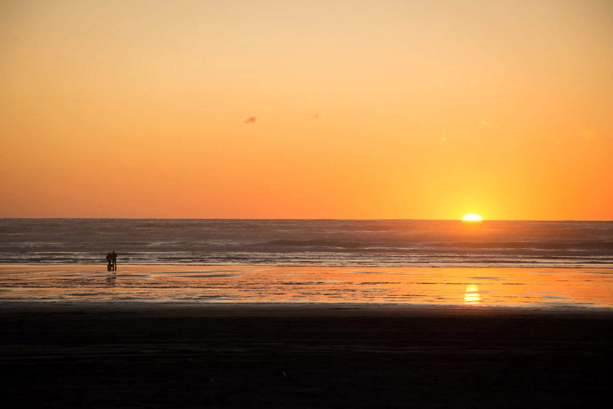 DSC_4067.jpg