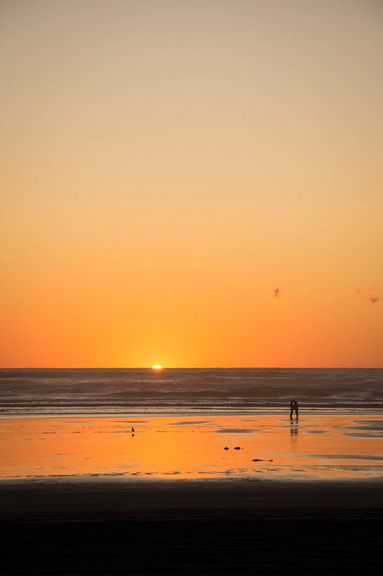 DSC_4069.jpg