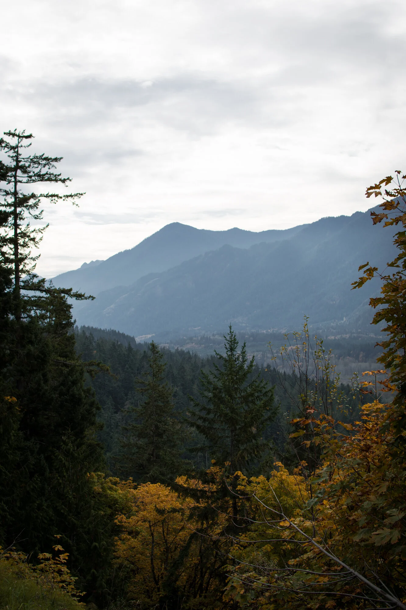 DSC_4546.jpg