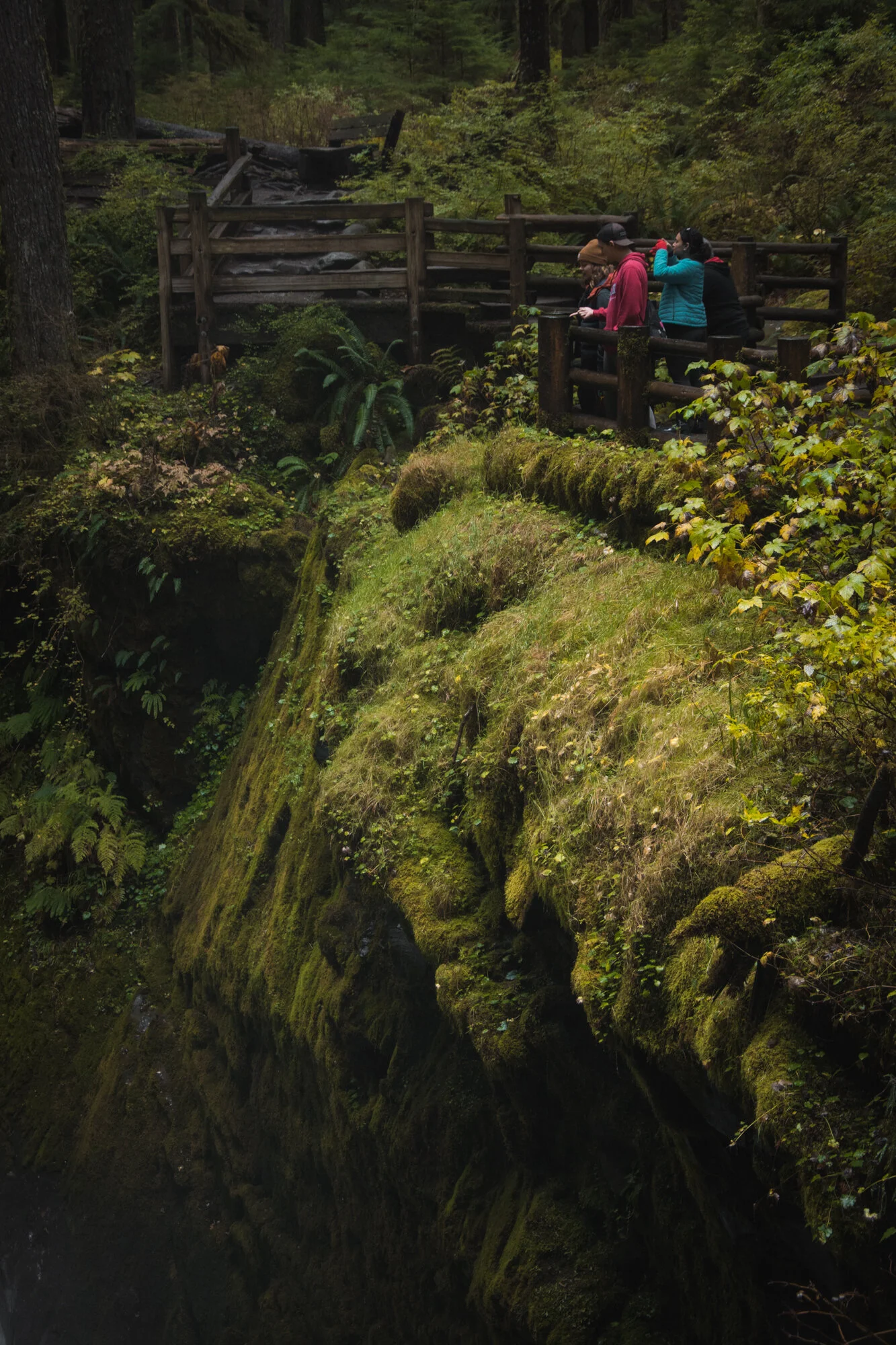 DSC_4626.jpg