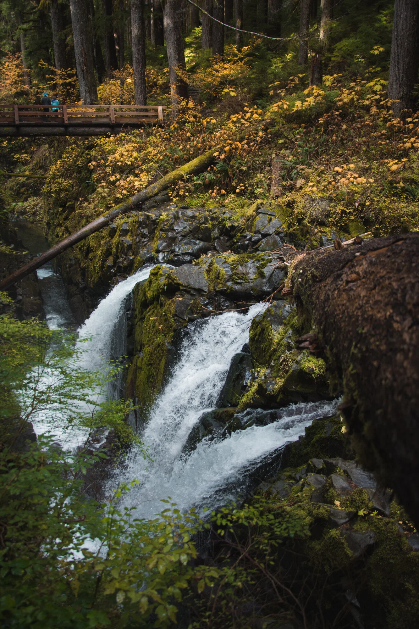 DSC_4630.jpg