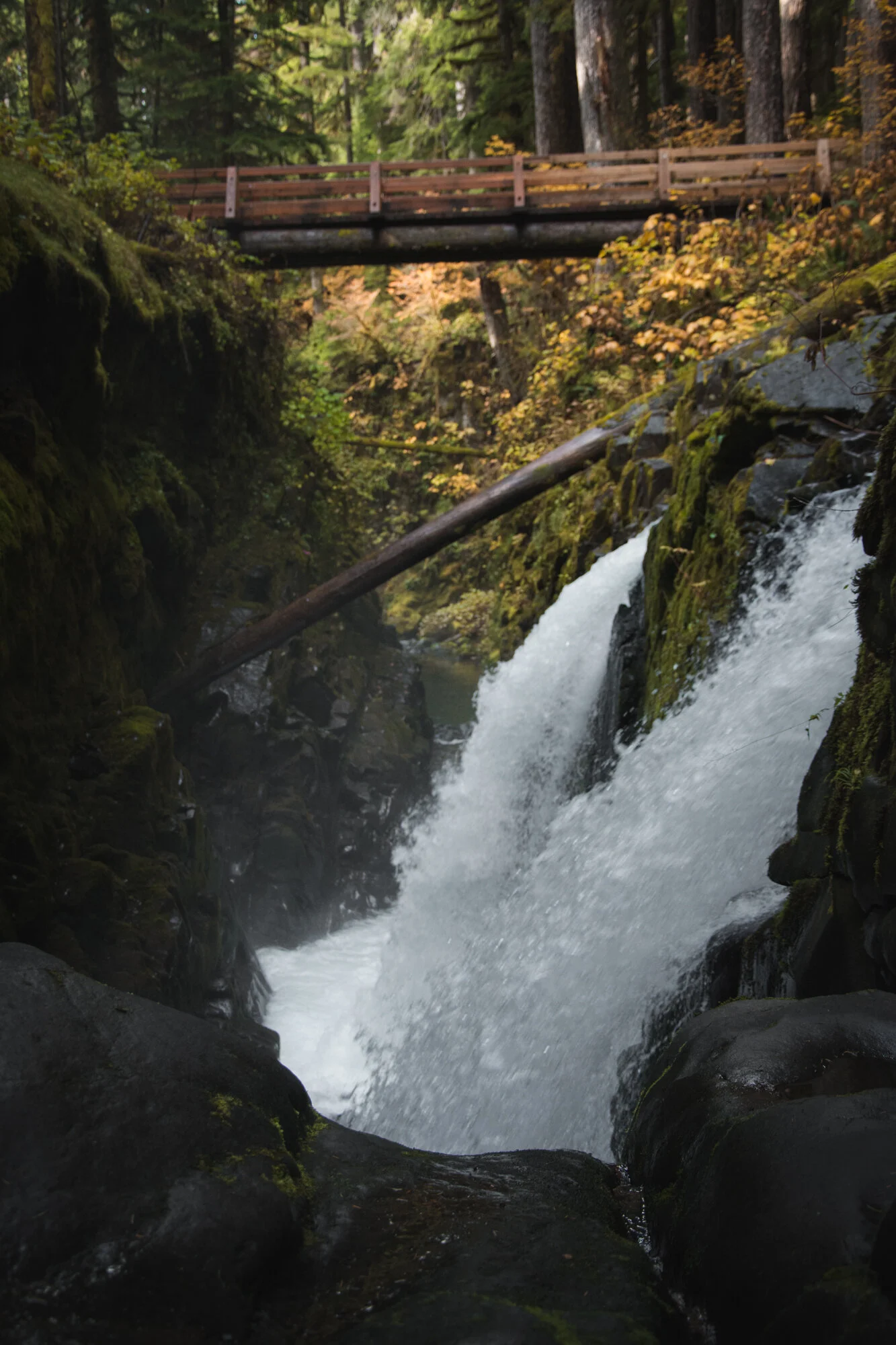 DSC_4641.jpg