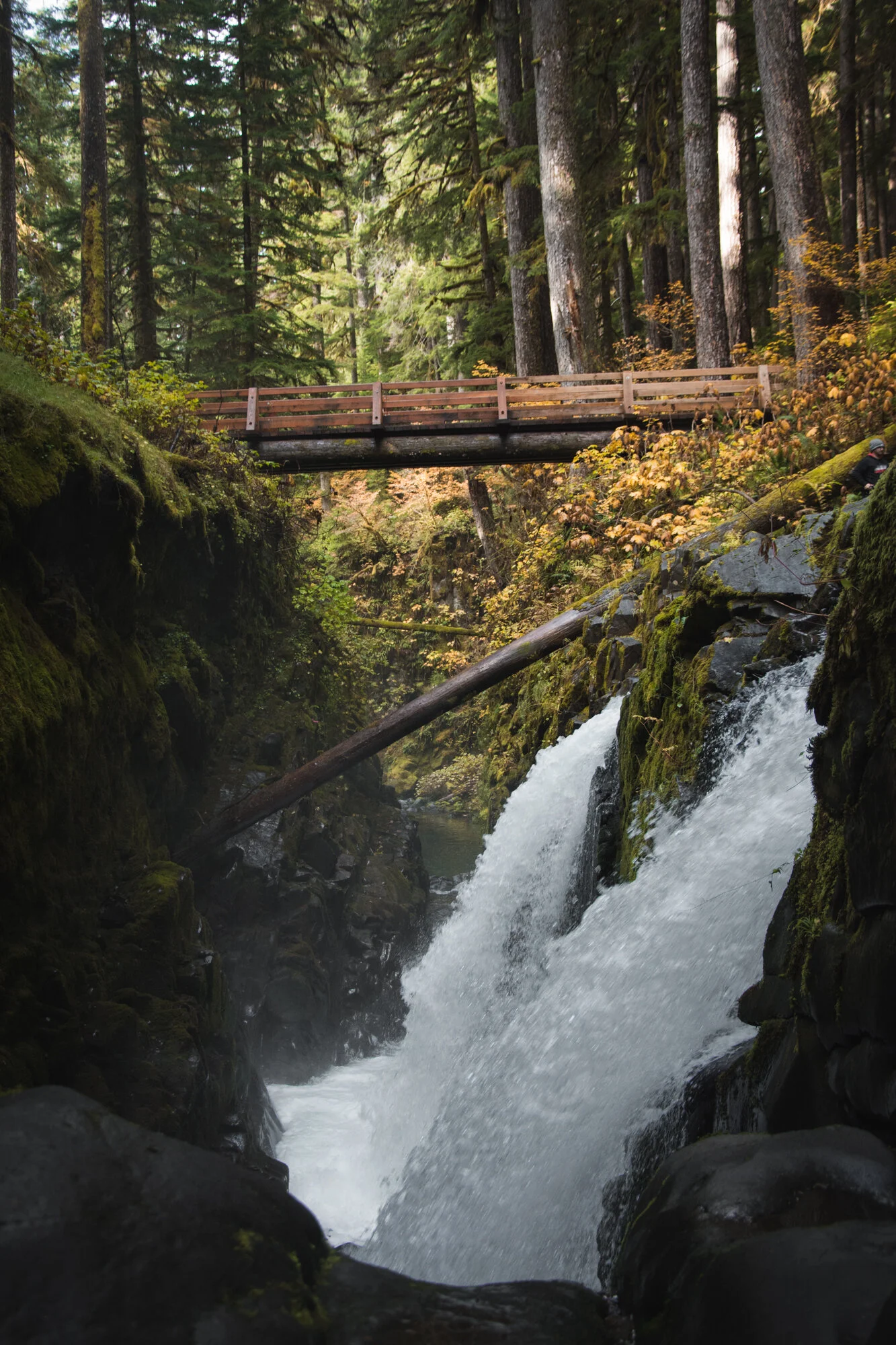 DSC_4642.jpg