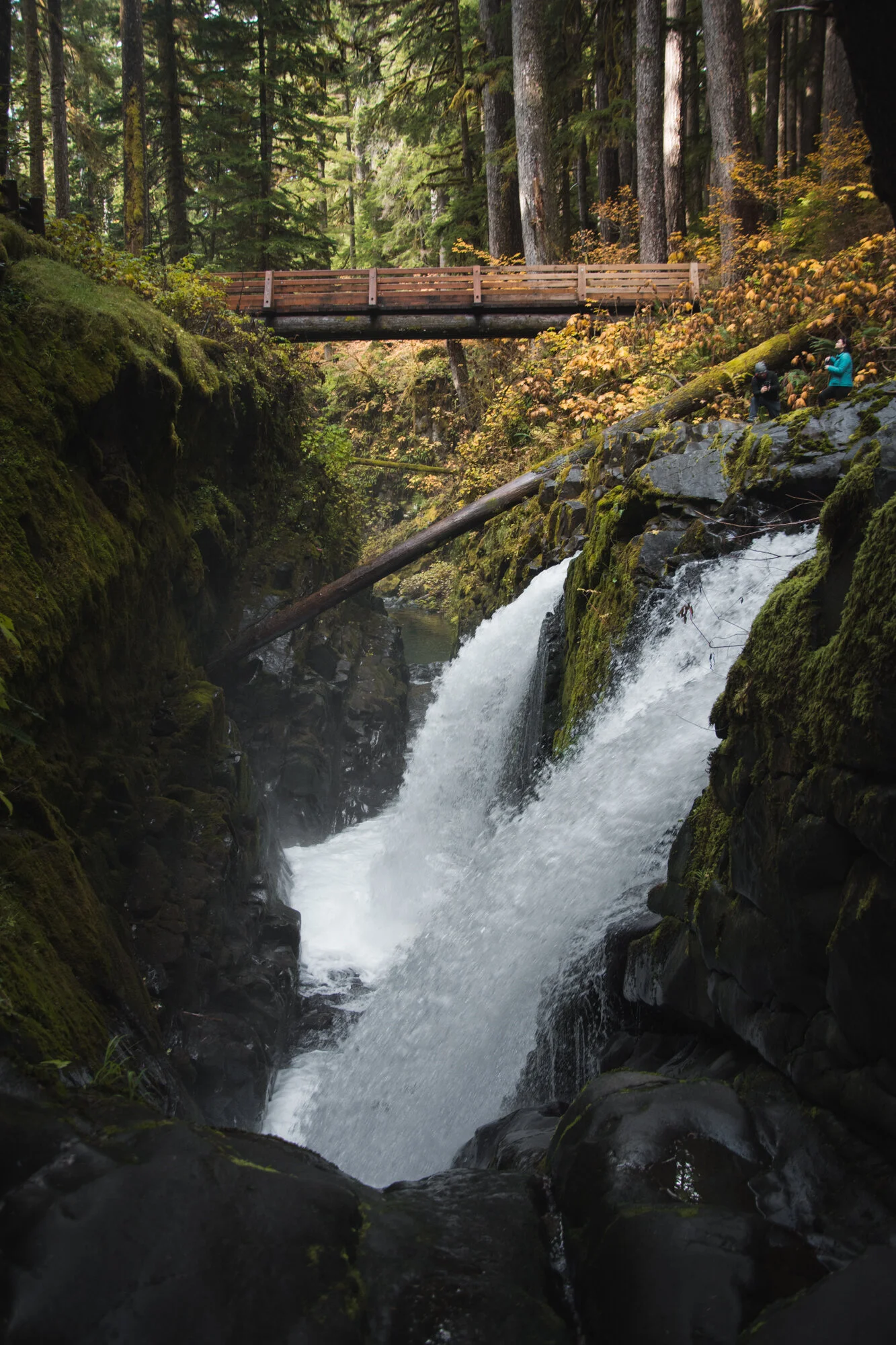 DSC_4643.jpg