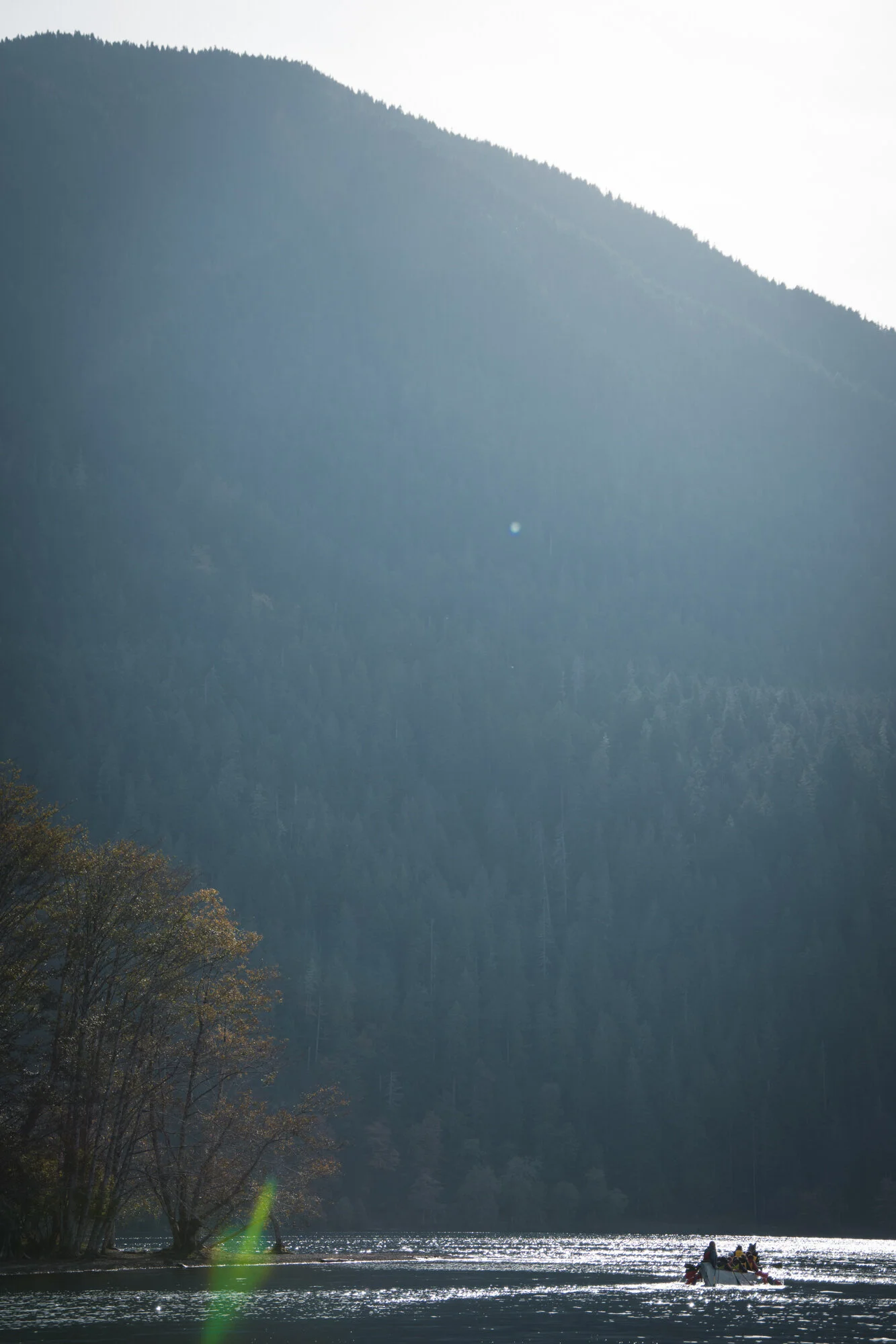 DSC_4685.jpg