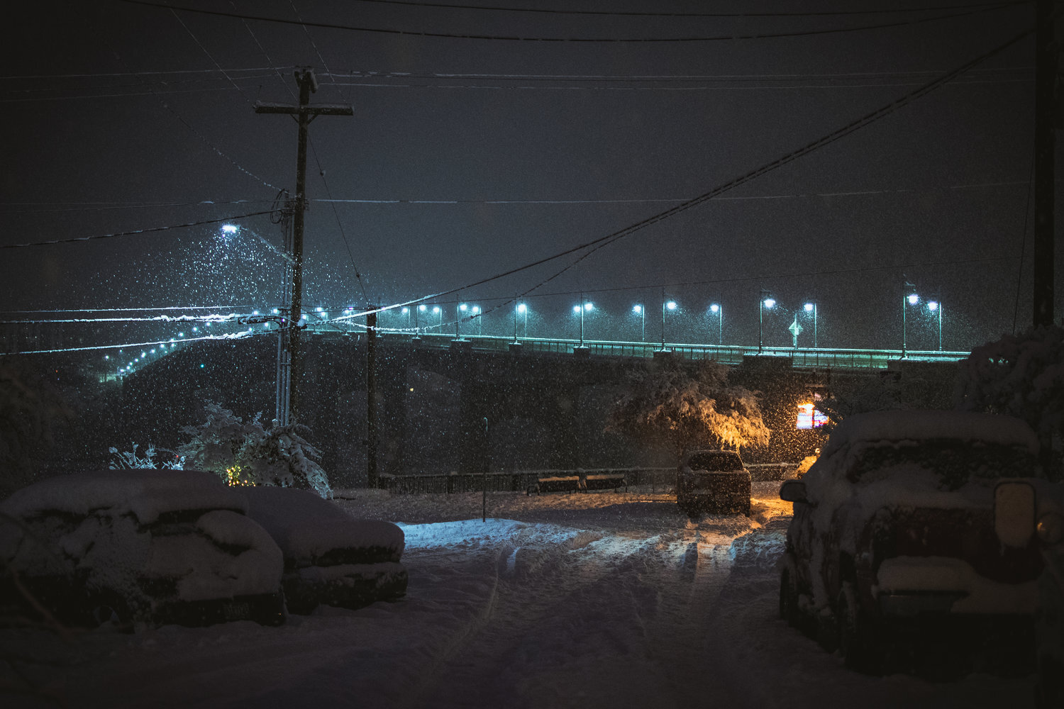 Sick Day Reflections