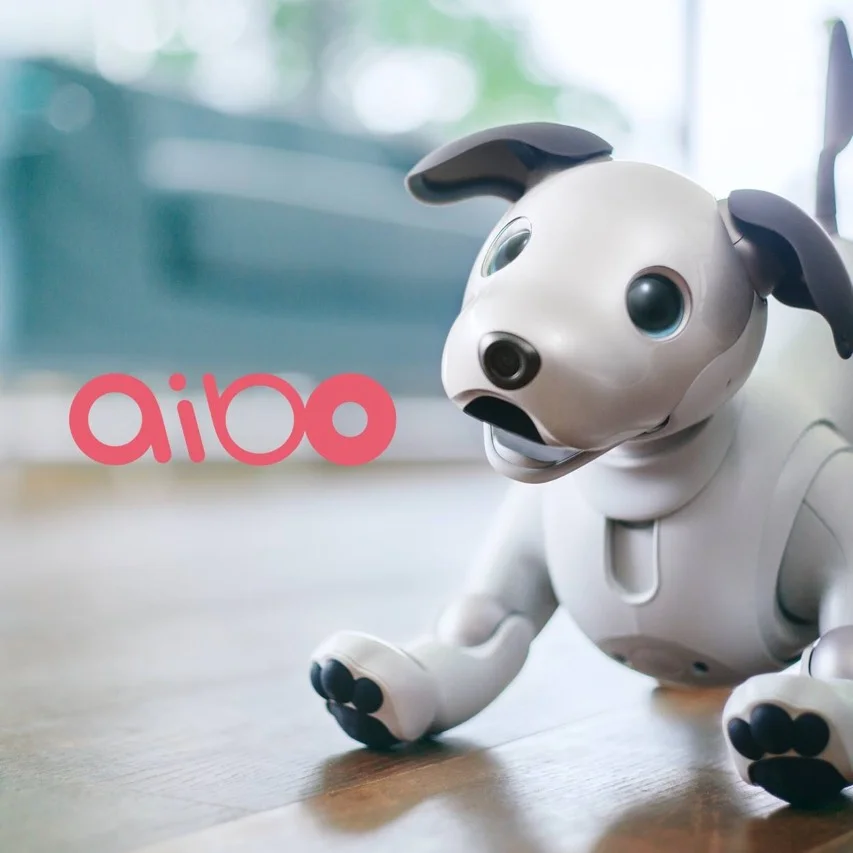 Startup idea of the day - Aibo.us The official source for Aibo in the USA