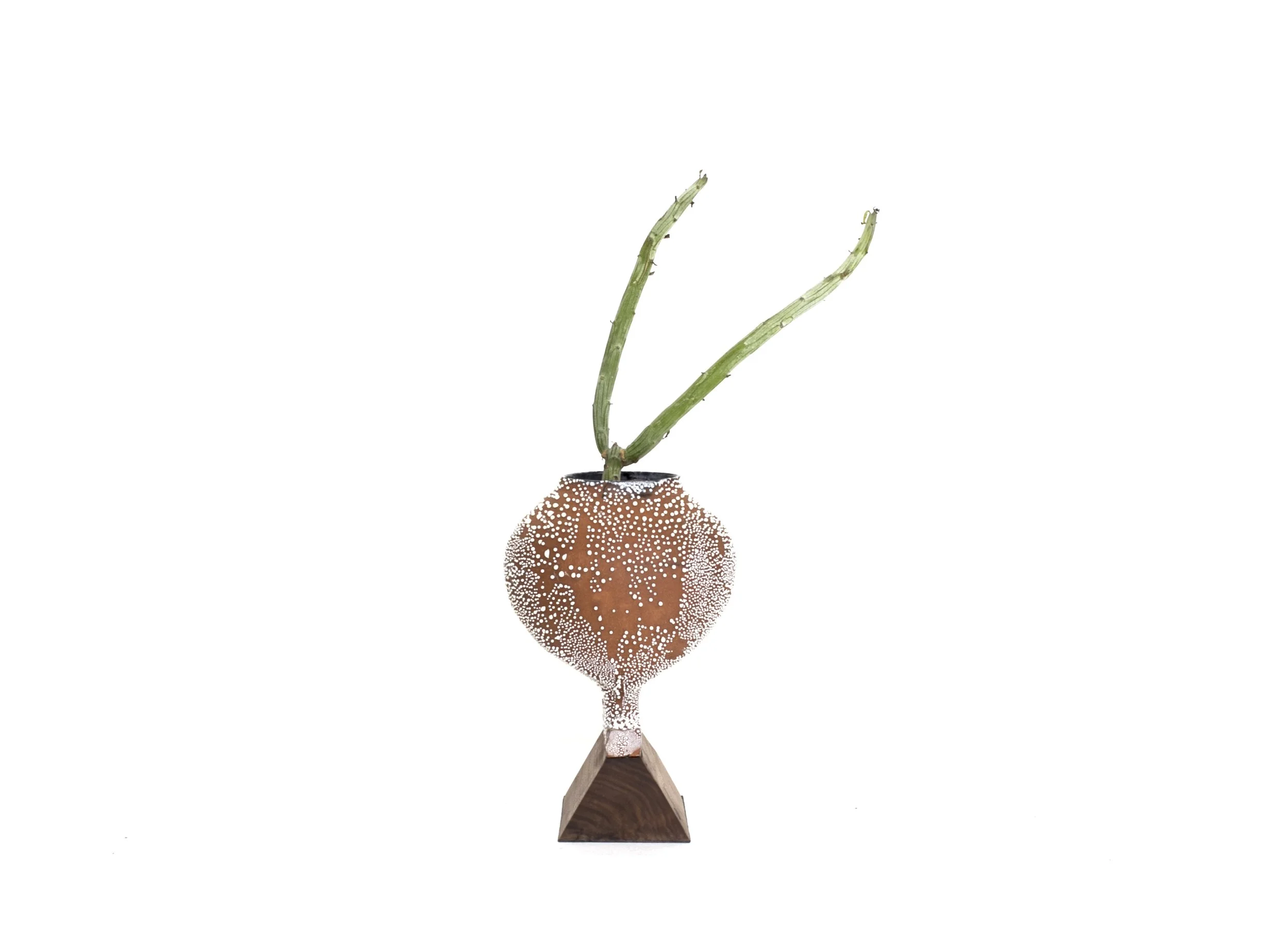 vase 1.jpg