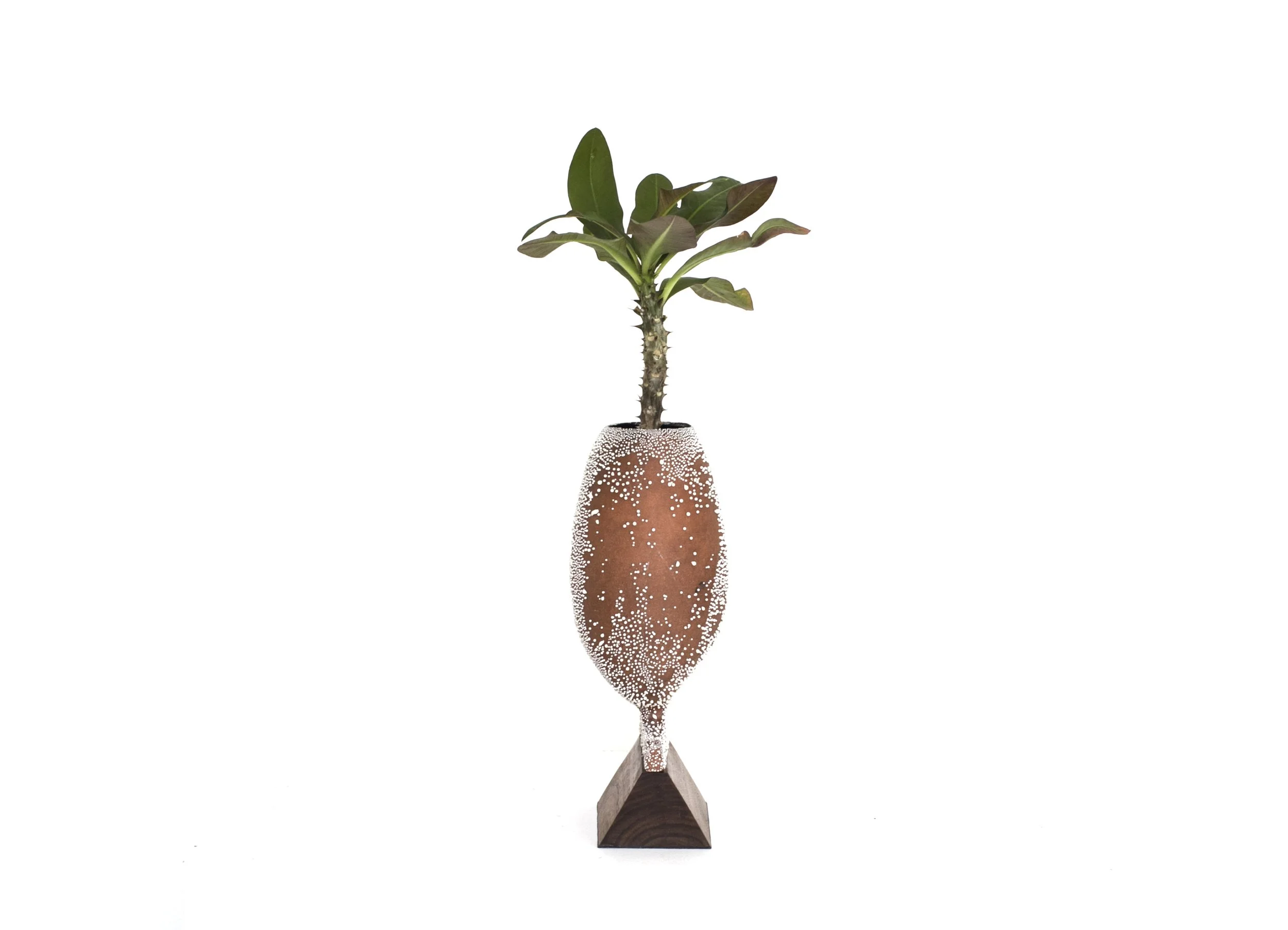 vase 2.jpg