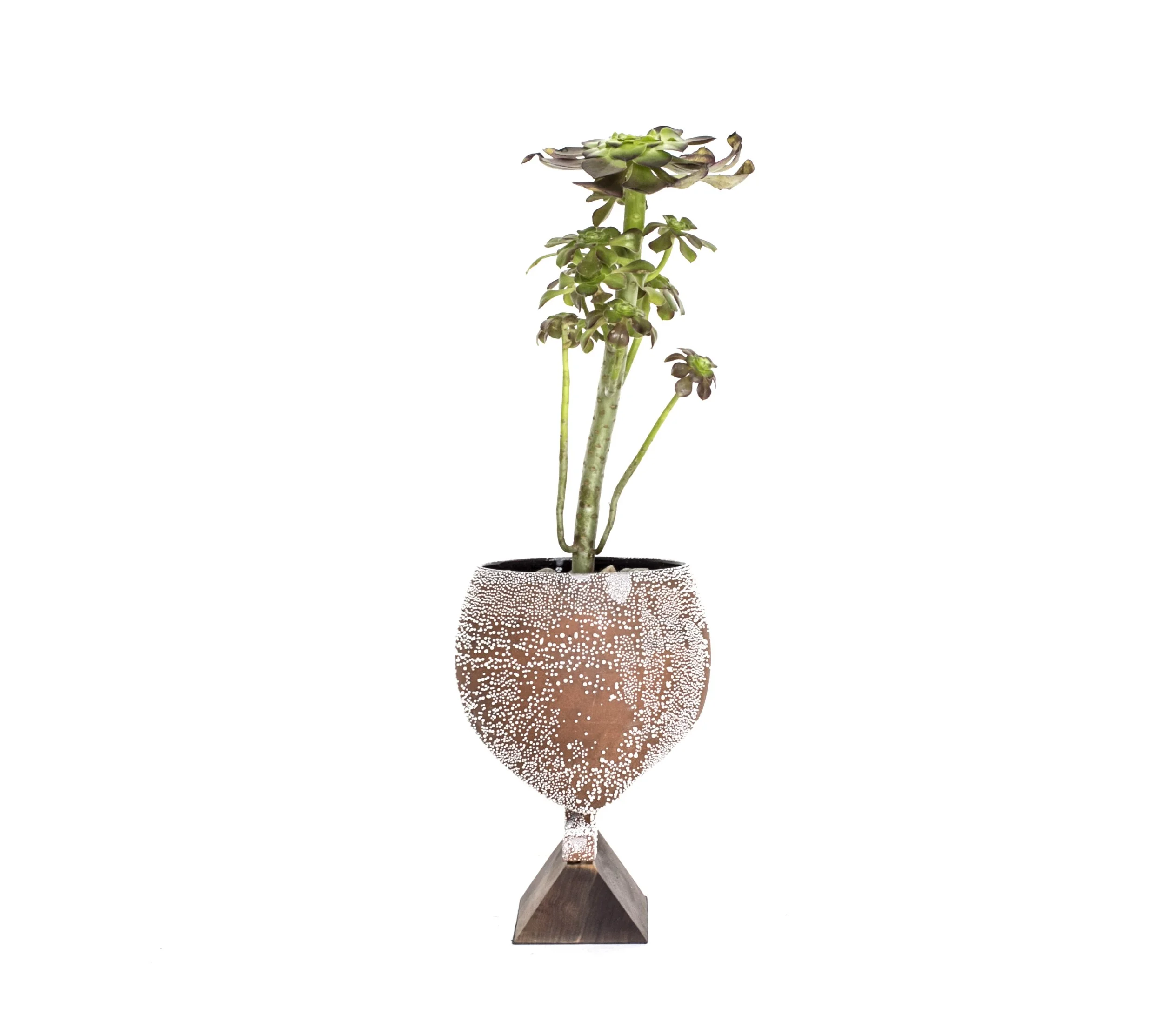 vase 3.jpg