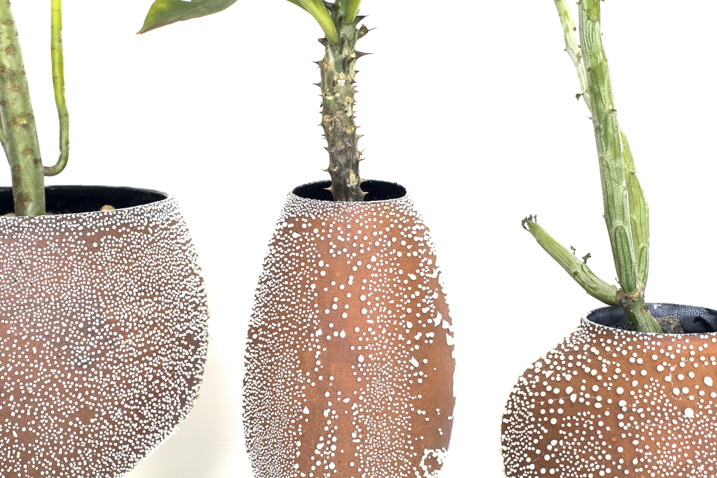 vase 4.jpg