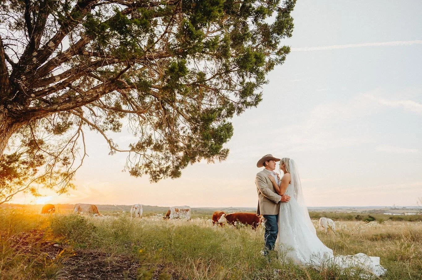 When dreams come true in landscape mode. 🤍

Photography: @lone_oak_studios 
Bartending: @southernstandardbar 
Beer Burros: @2burrachos 
Catering: @rivercitycateringnb 
Coordination: @eventsofnv @lauryn.curtis9 
Decor/Rentals: @suebeevintage 
Dress: 