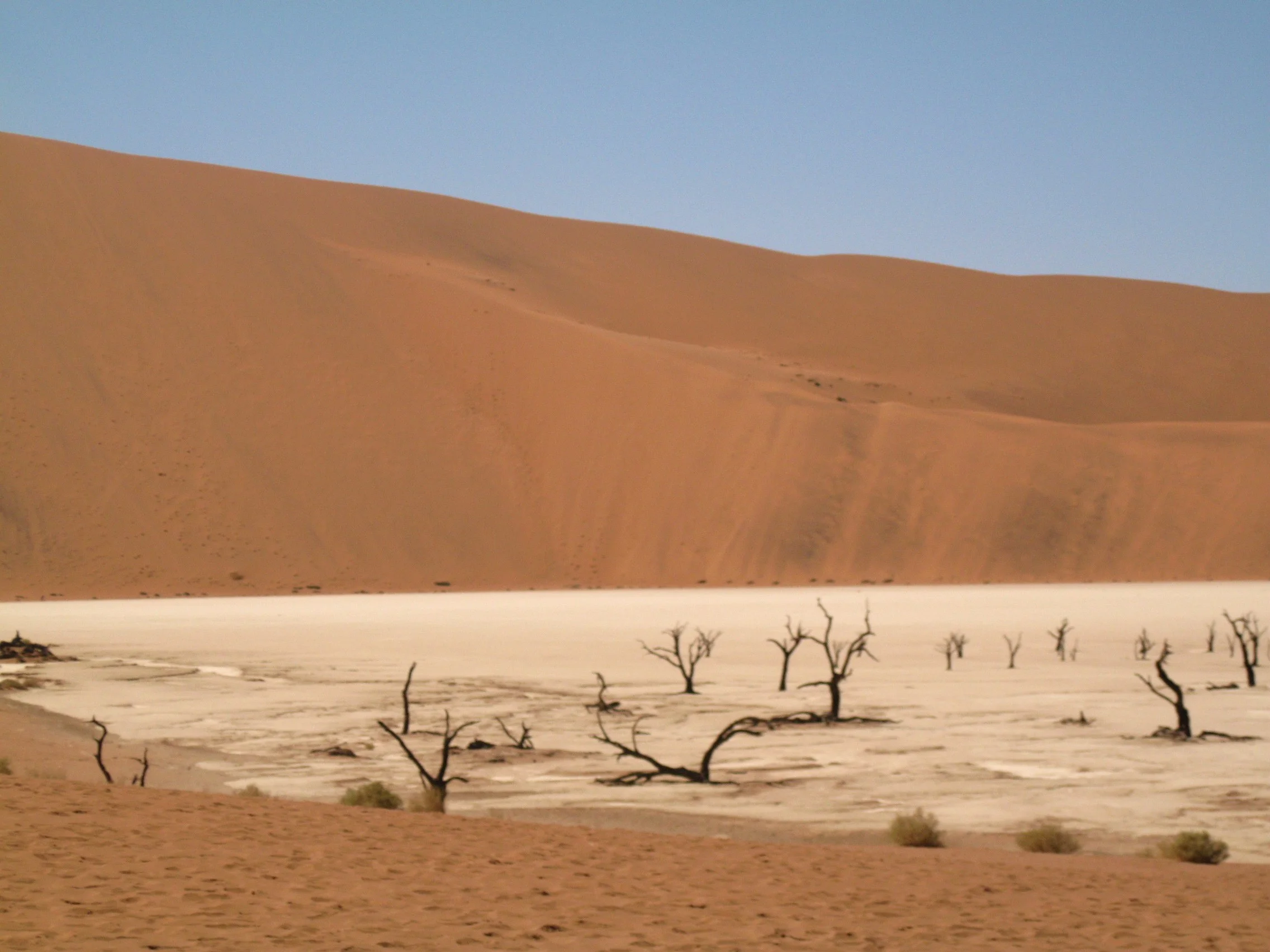 Visiting Sossusvlei: a Conservation Trip through the Namib Desert