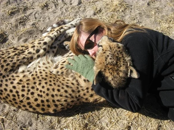 Wild Voluntourism: One Story of Working with Big Cats in Namibia