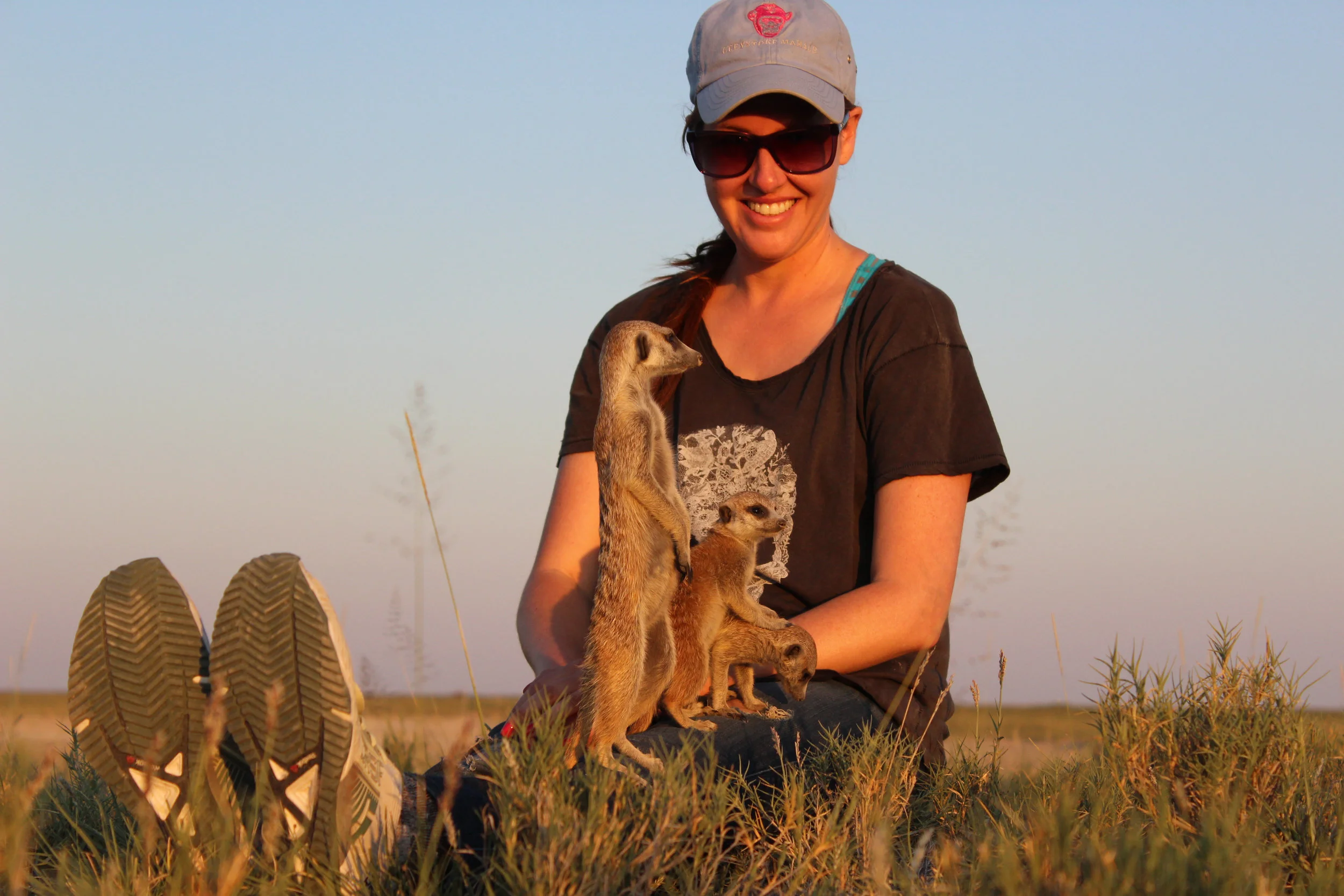 Safari Camps Where Animals Are So Close You Can Touch Them