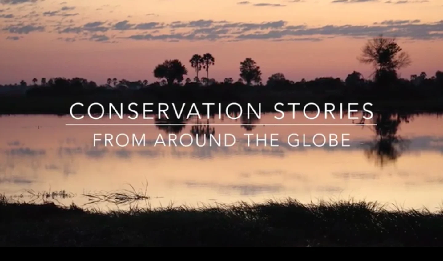 Conservation-Stories-Pic.jpg