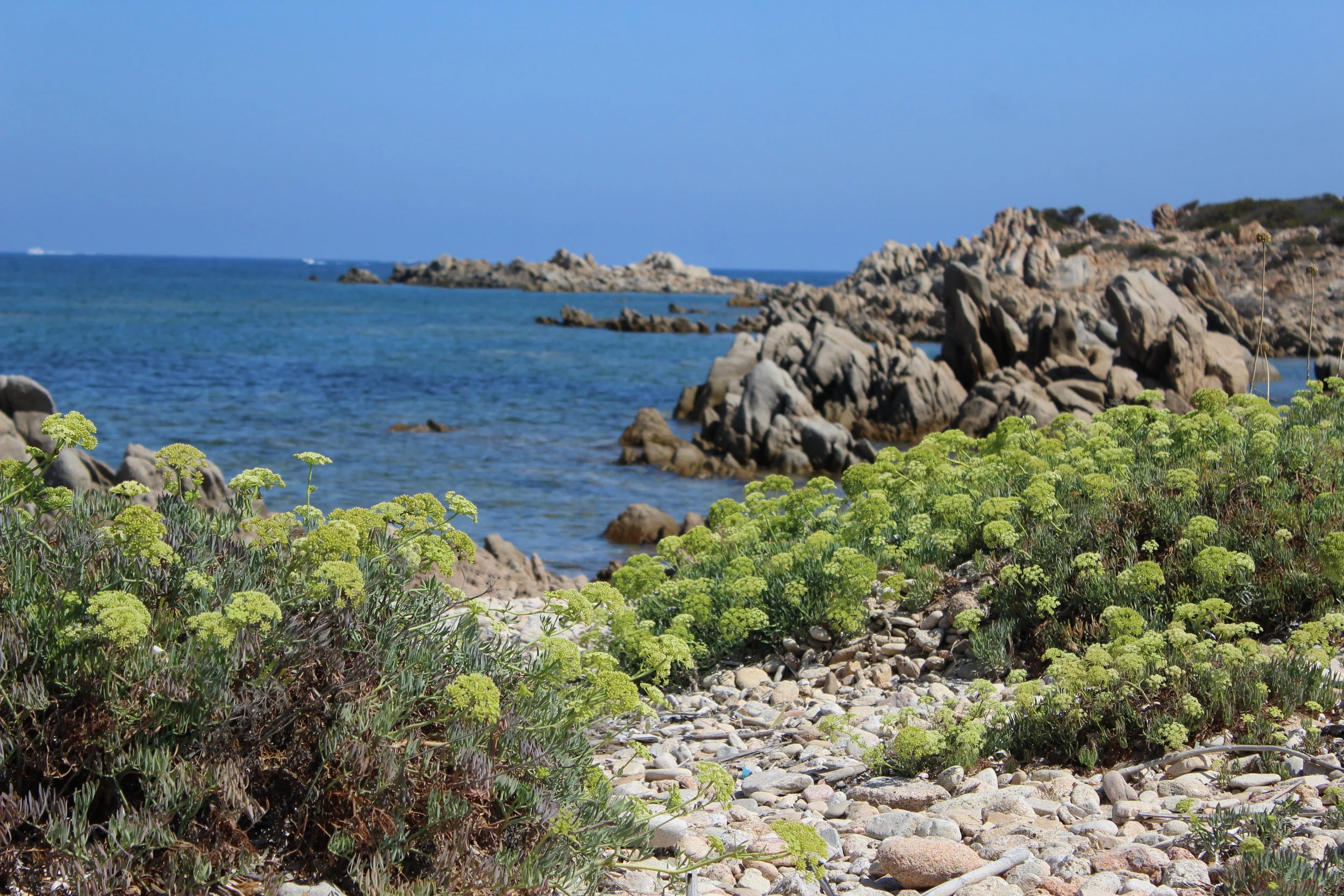 sardinia italy ocean.JPG
