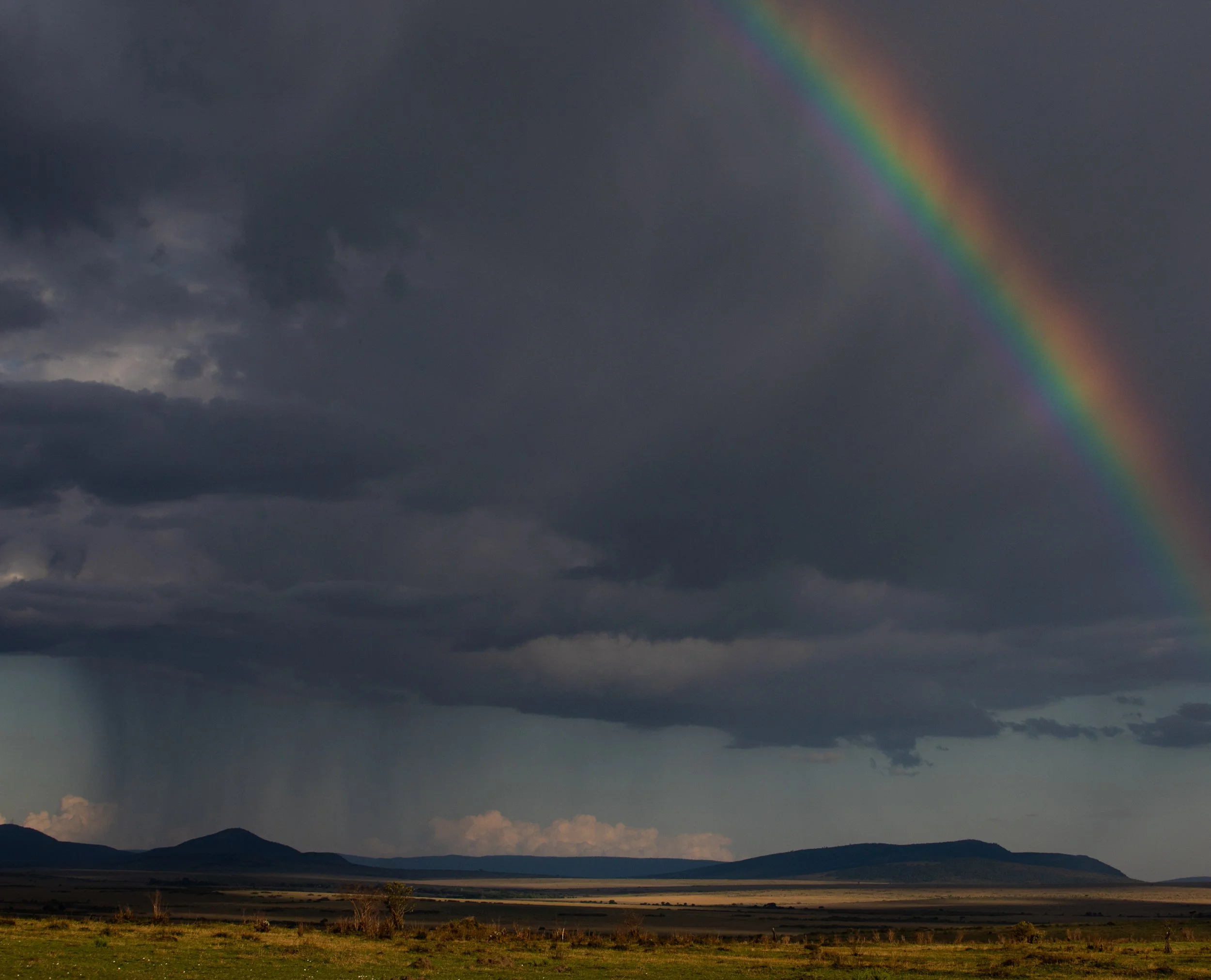 Storm for website (1 of 1).jpg