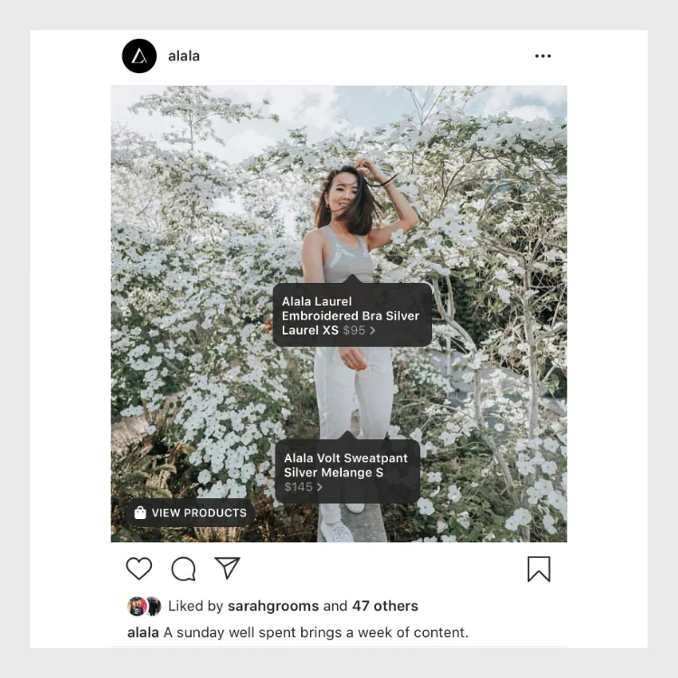 instagram update.jpeg