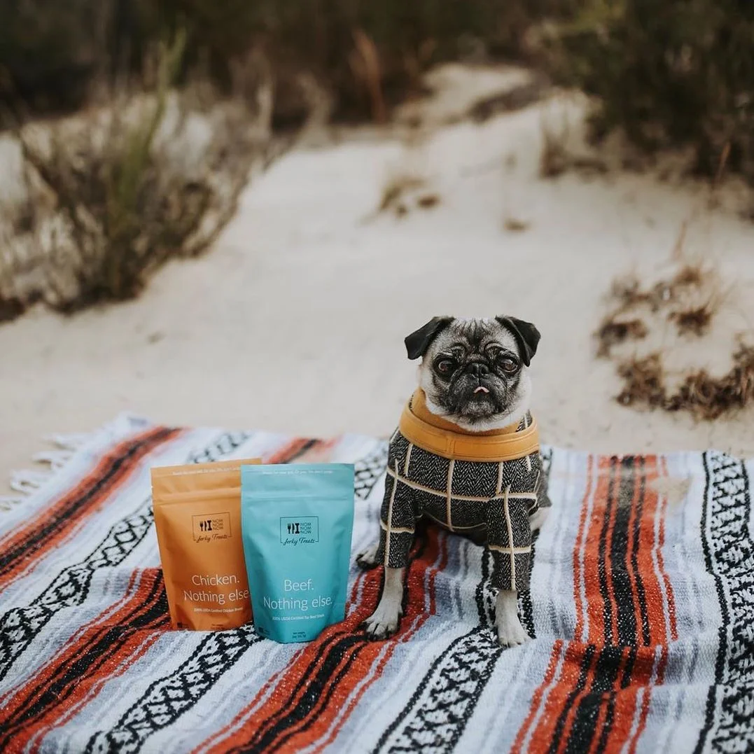 @pugventureswithrosie via minisocial.io