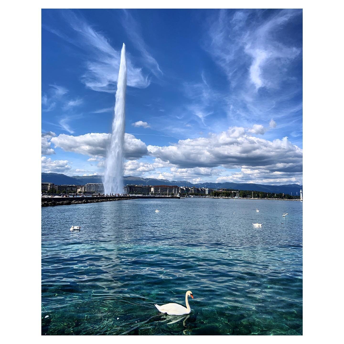 Those Geneva Whites and Blues 🤍💙
*
Another favorite city to spend days wandering around - especially on summer days like this 💞
*
📍Geneva, Switzerland 🇨🇭
*
*
*
#wanderfuljourneys #geneva #switzerland #europe #bestcitybreaks