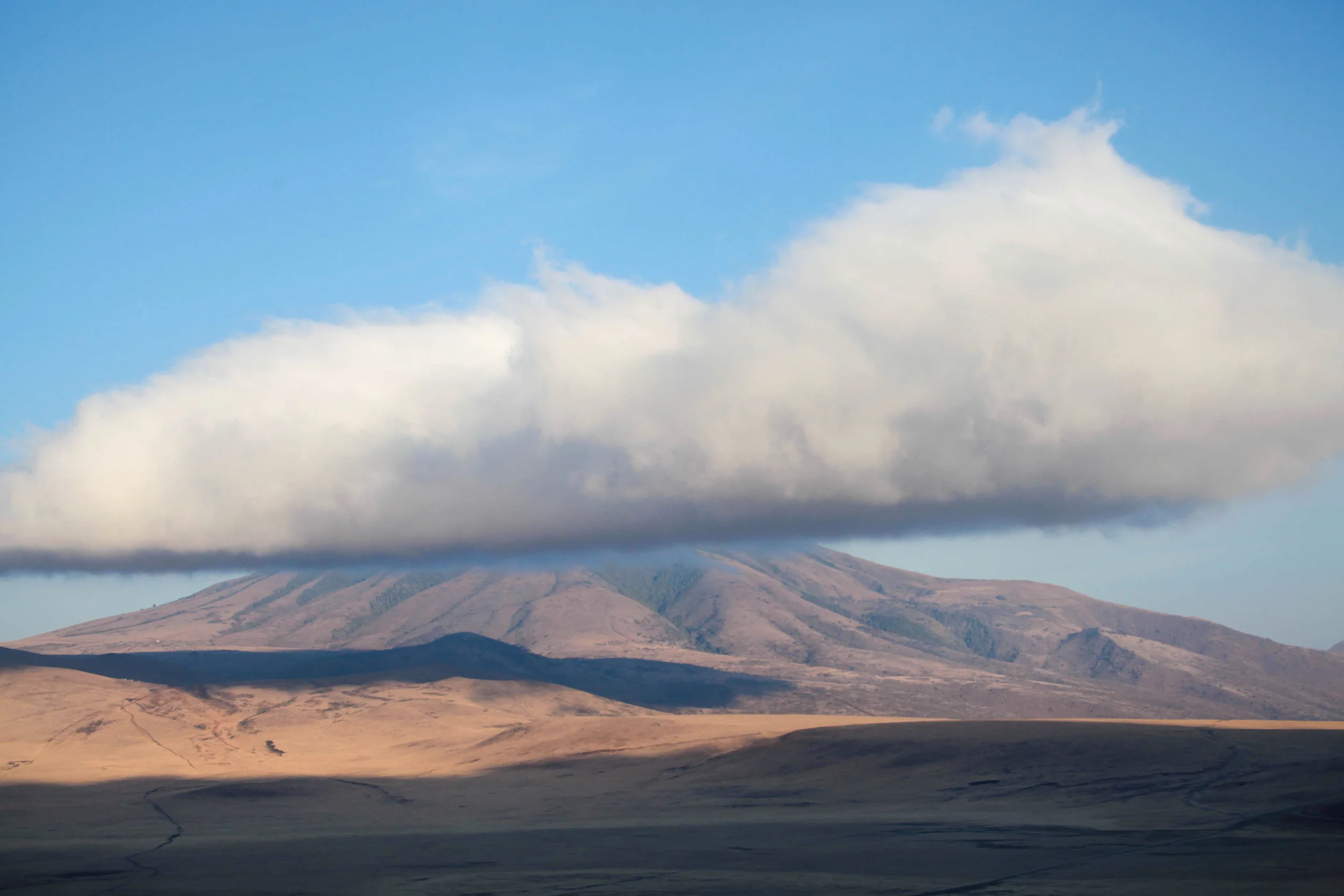  View from the Ngorongoro crater entrance in Tanzania, the largest volcanic caldera in the world. 