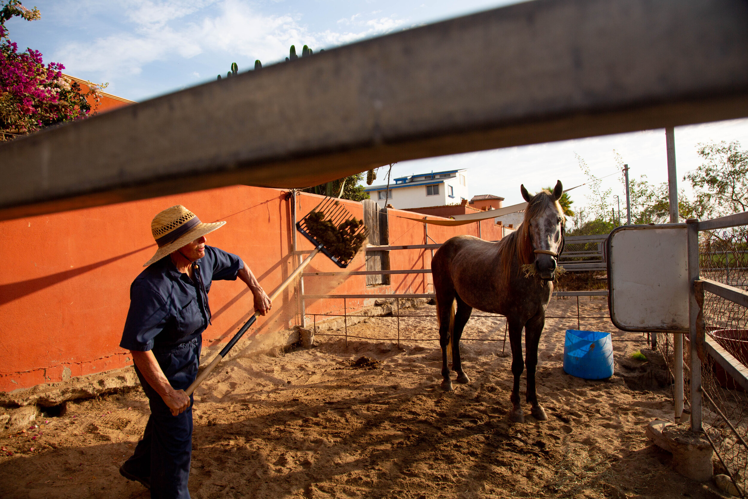   Dawn cleans Dusty’s corral at Tina Jo’s Promise. Dusty was found underfed and beaten-down-in-spirit when he was released by his drunken owner in Baja.  