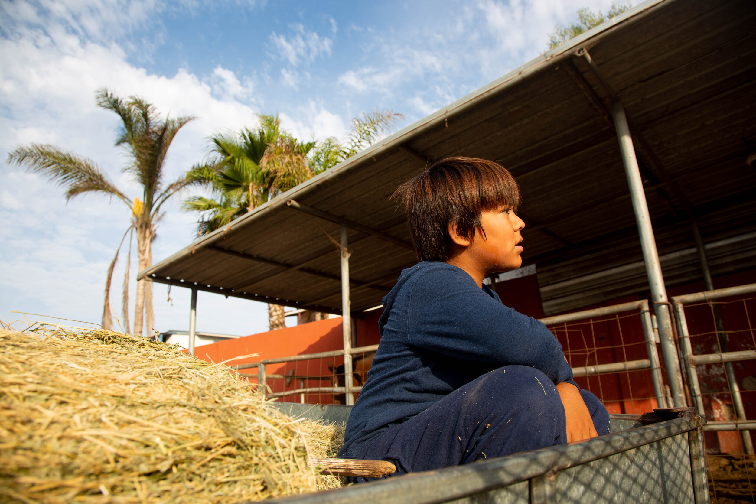   Nathaniel Stephens, age 8, learns from his mom Dawn Stephens how to properly care for the horses at the rescue ranch.  