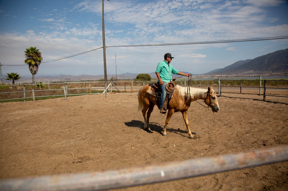   Sergio trains Corona in the round pen at Tina Jo’s Promise.  