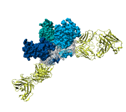 A colorful blue and green thing.png