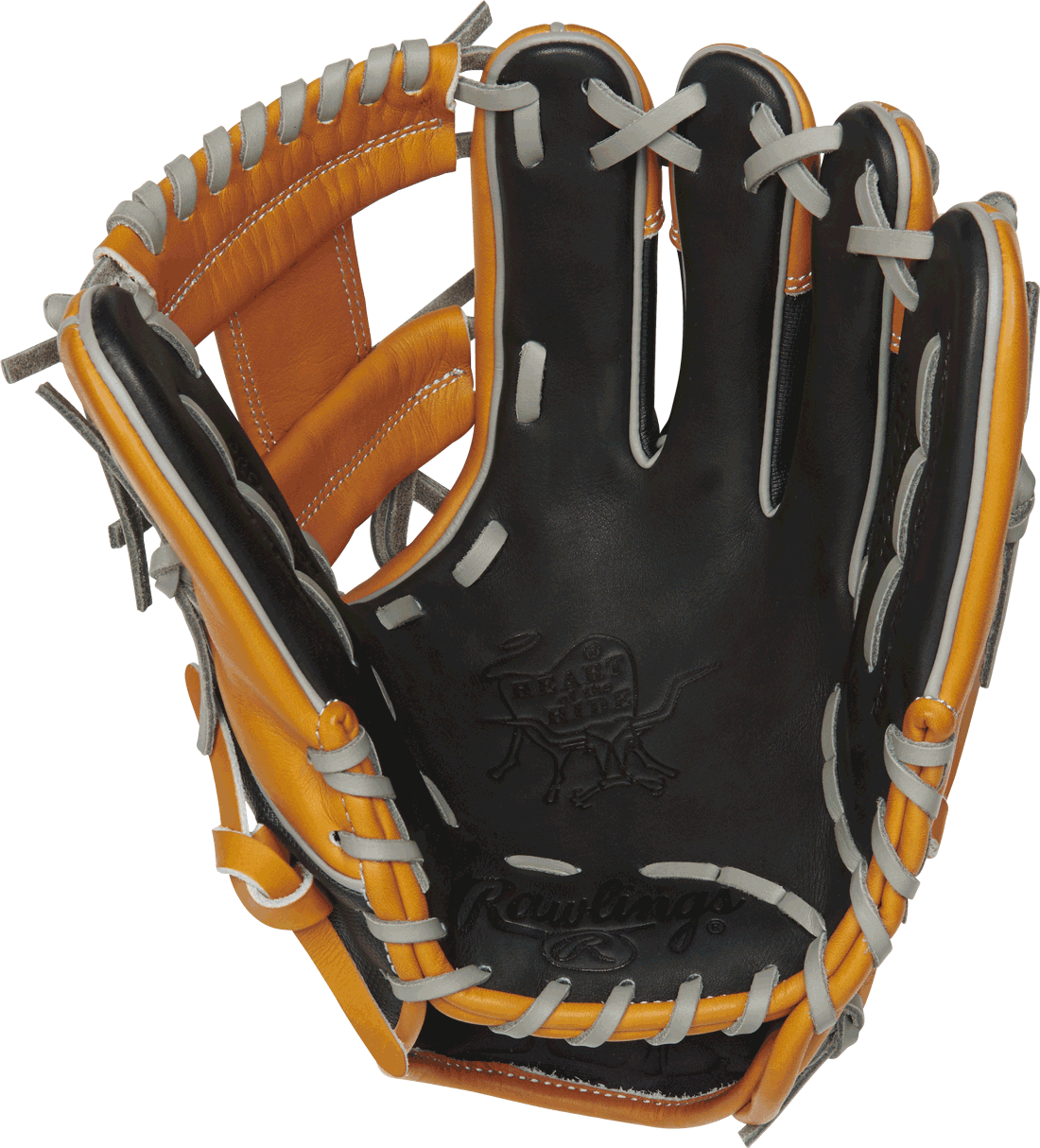Baseball GlovesLimited Edition — Baseball 365