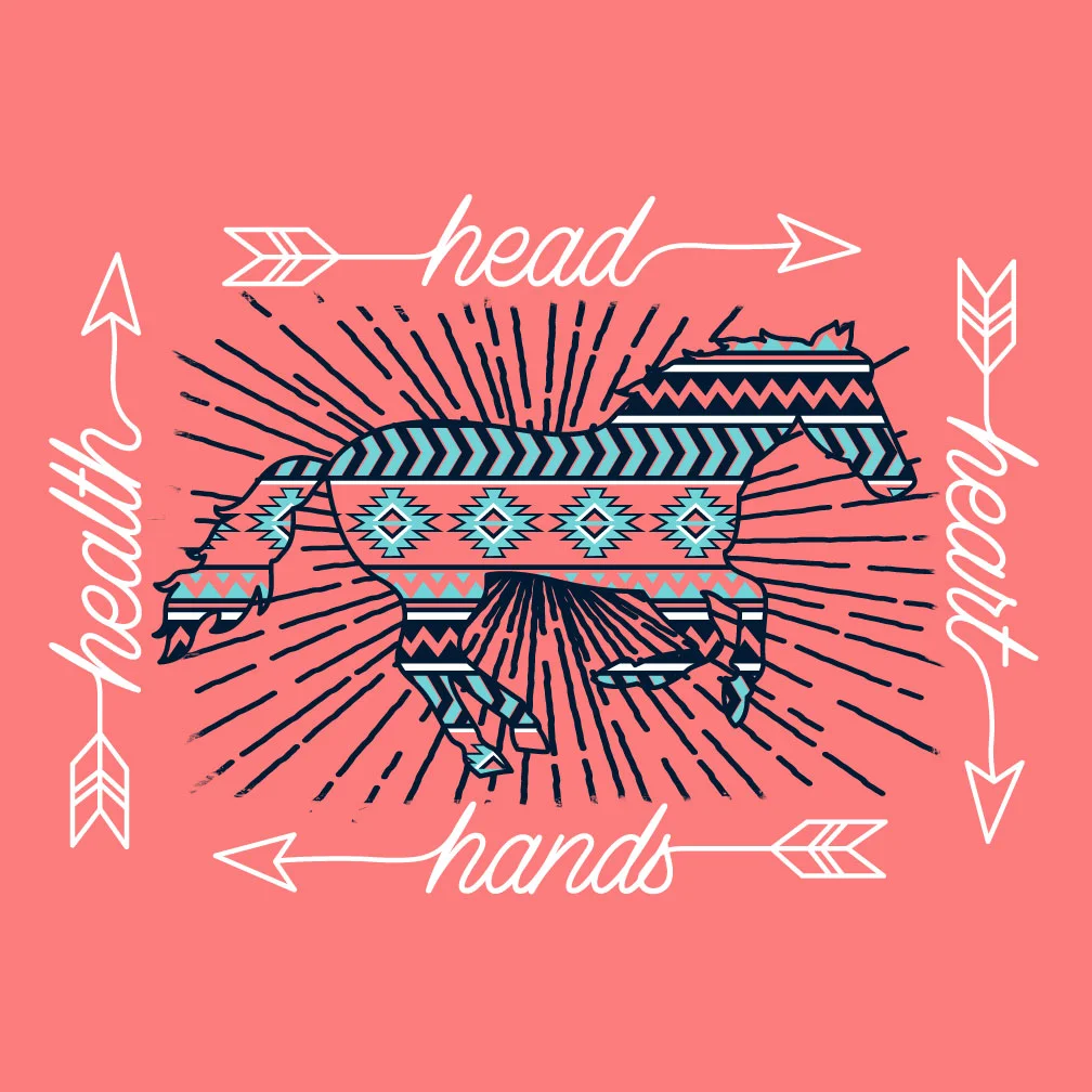 KYC_AZTEC-HORSE-ARROWS-4H.jpg