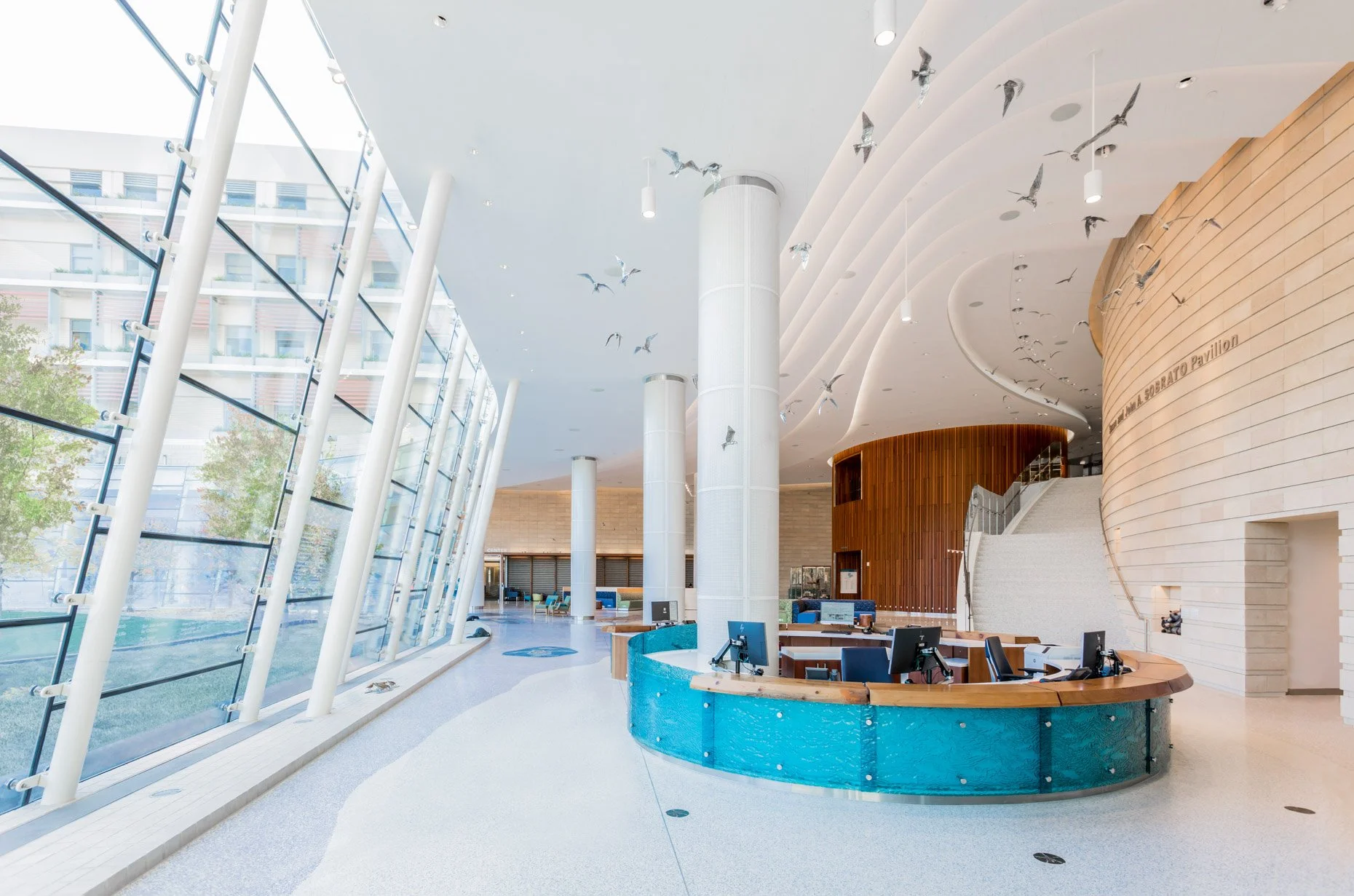 Lucile Packard Children's Hospital — Jtec HCM