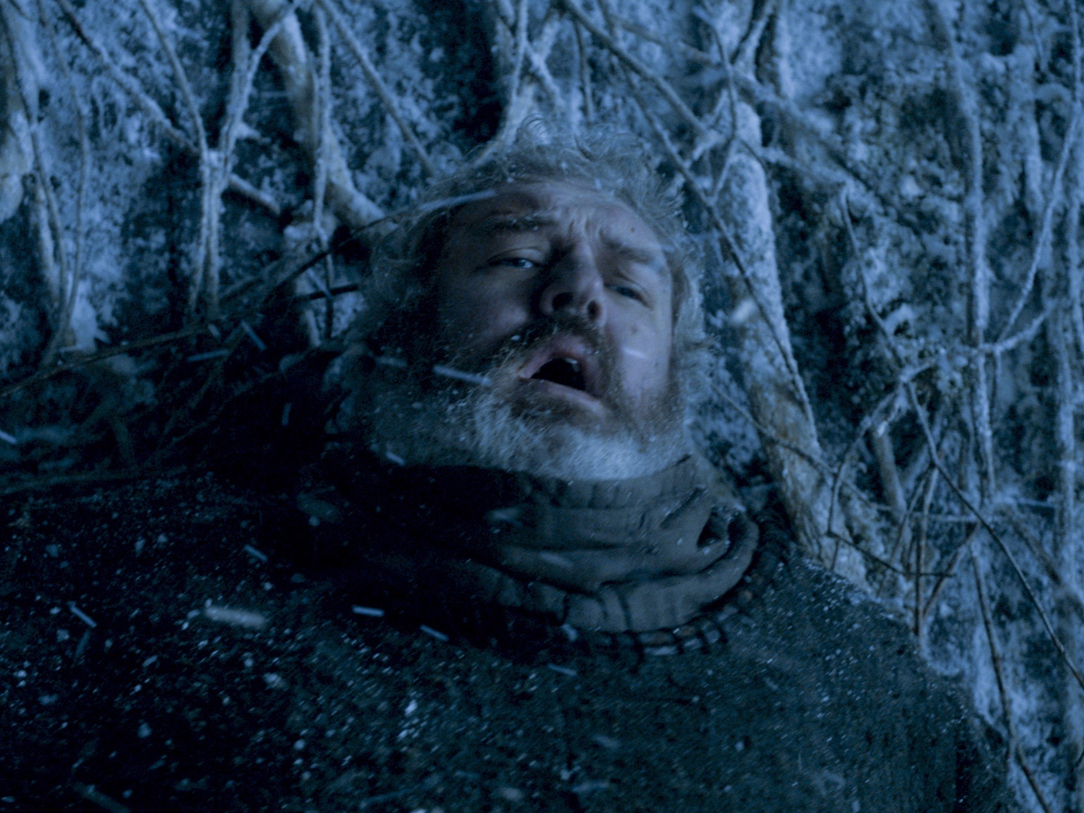 Caitlin_Hodor.jpg