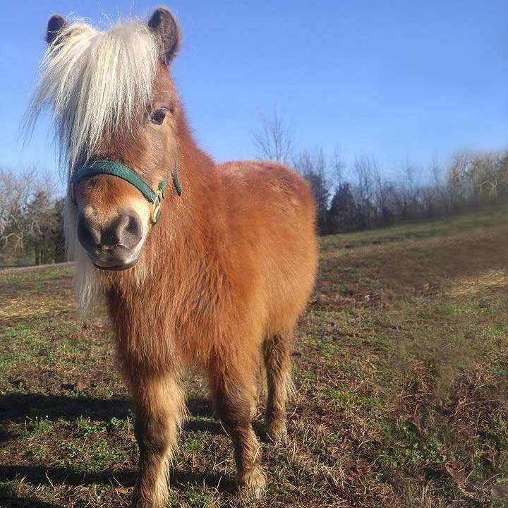 Paige_Lil+Sebastian.jpg