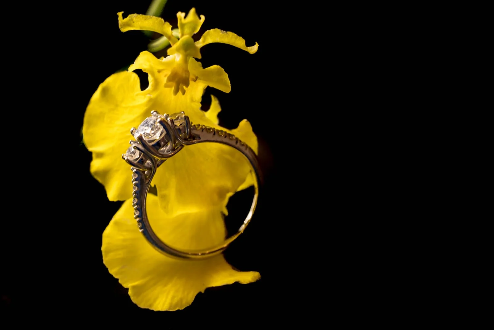 Fine-Art-Wedding-Photographer-Detail-Engagement-Ring-Hawaii-Orchid.jpg