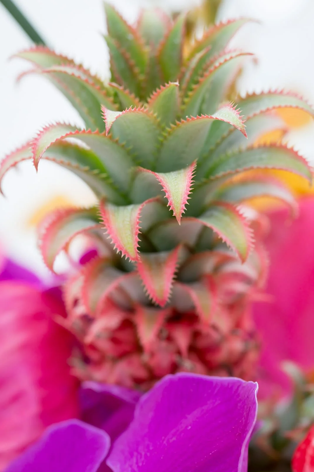 Pink-Pineapple-Wedding-Reception-Table-Setting-Hawaii-Photographer.jpg